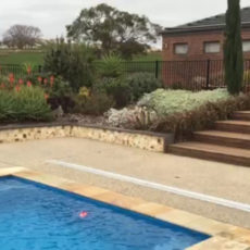 Batesford fibreglass swimming pool installation